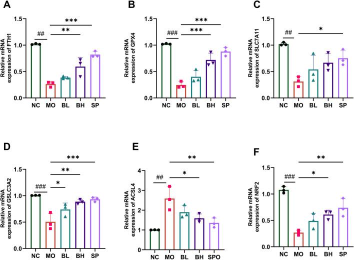 https://cdn.ncbi.nlm.nih.gov/pmc/blobs/159e/12350334/62fef015b7e1/fphar-16-1564783-g004.jpg