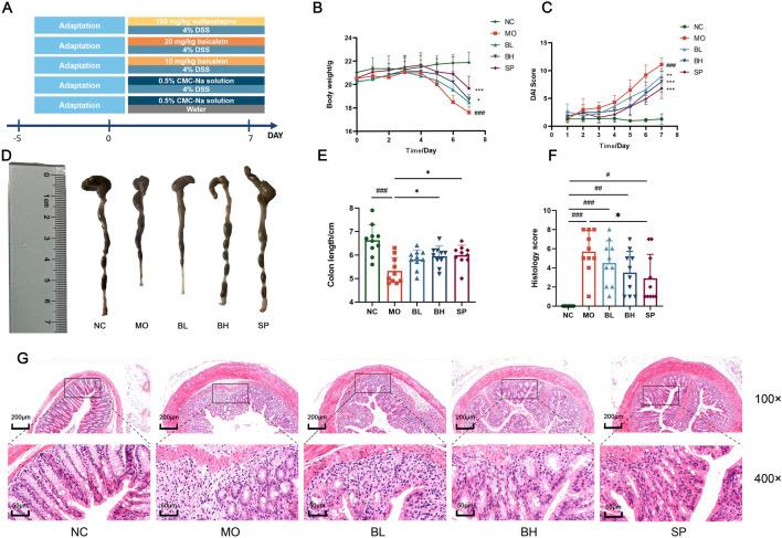 https://cdn.ncbi.nlm.nih.gov/pmc/blobs/159e/12350334/763be24e6a27/fphar-16-1564783-g001.jpg