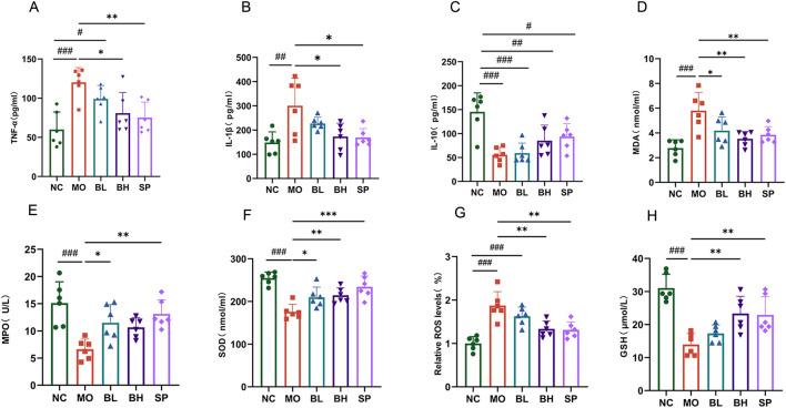 https://cdn.ncbi.nlm.nih.gov/pmc/blobs/159e/12350334/ad098a9ef38d/fphar-16-1564783-g002.jpg