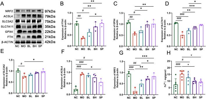 https://cdn.ncbi.nlm.nih.gov/pmc/blobs/159e/12350334/c8f46b7797e5/fphar-16-1564783-g003.jpg