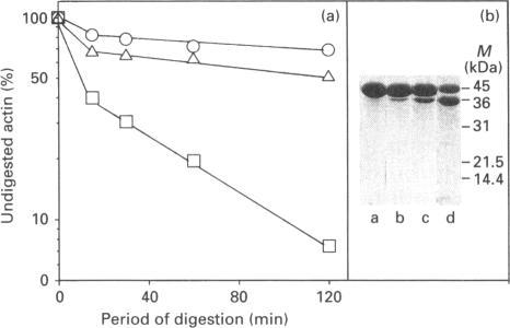 https://cdn.ncbi.nlm.nih.gov/pmc/blobs/159f/1136680/31b46342bedb/biochemj00065-0213-a.jpg