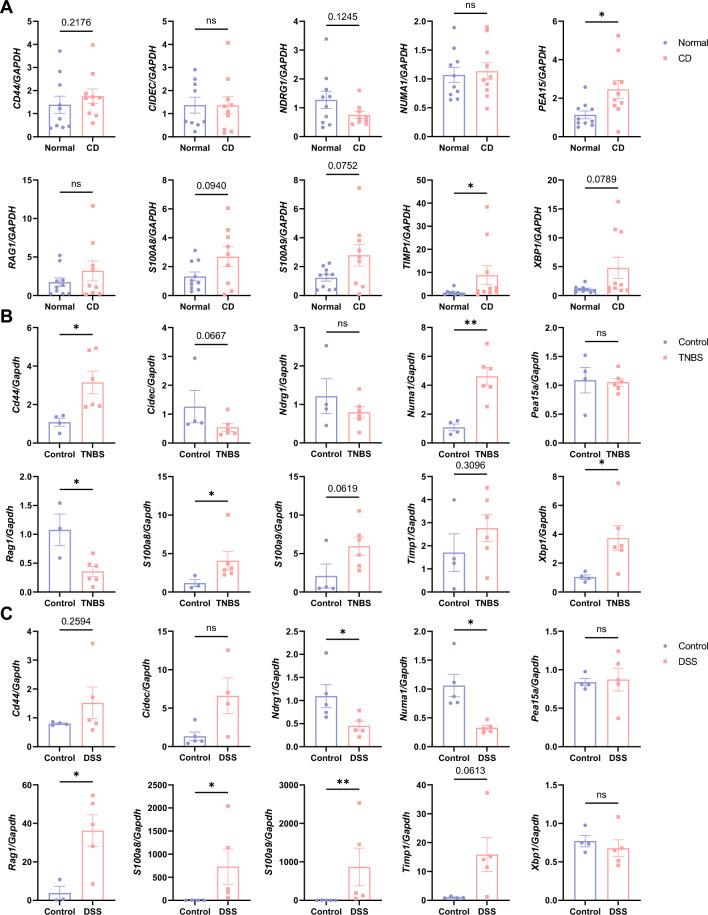 https://cdn.ncbi.nlm.nih.gov/pmc/blobs/15a0/11111690/3e7477faa06b/41598_2024_62259_Fig9_HTML.jpg