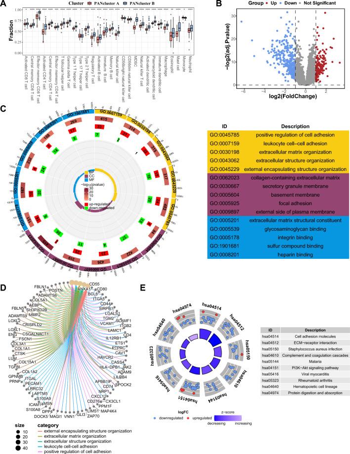 https://cdn.ncbi.nlm.nih.gov/pmc/blobs/15a0/11111690/5b42a4419ef6/41598_2024_62259_Fig8_HTML.jpg