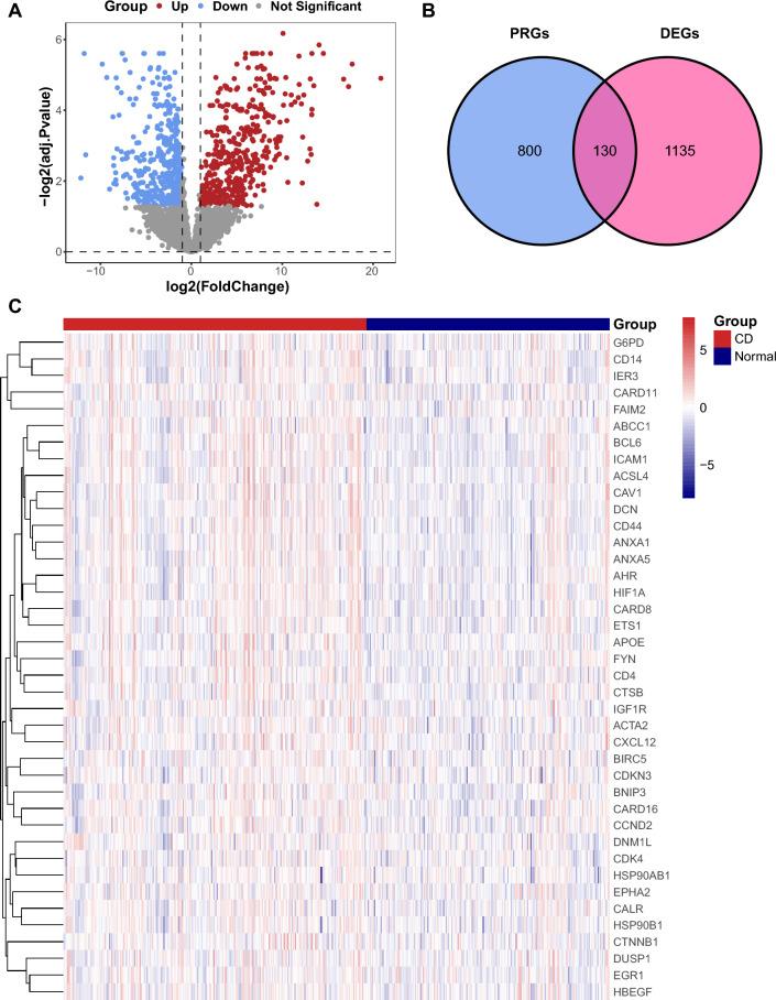 https://cdn.ncbi.nlm.nih.gov/pmc/blobs/15a0/11111690/a2187cba9af0/41598_2024_62259_Fig3_HTML.jpg