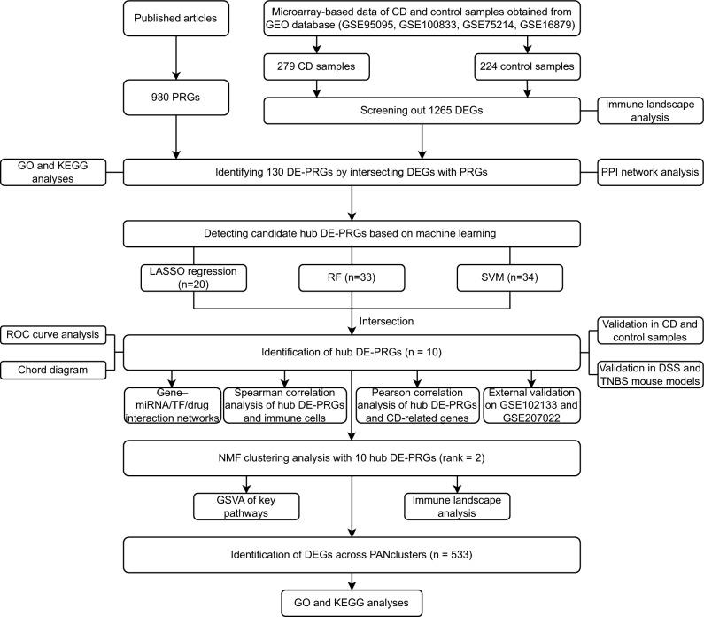 https://cdn.ncbi.nlm.nih.gov/pmc/blobs/15a0/11111690/b687b6042948/41598_2024_62259_Fig1_HTML.jpg