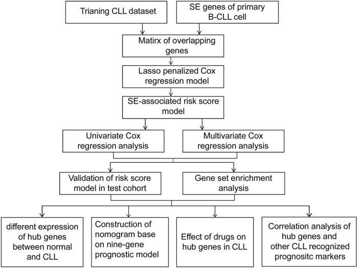 https://cdn.ncbi.nlm.nih.gov/pmc/blobs/15a0/9521409/23c3597498c1/fgene-13-1001364-g001.jpg