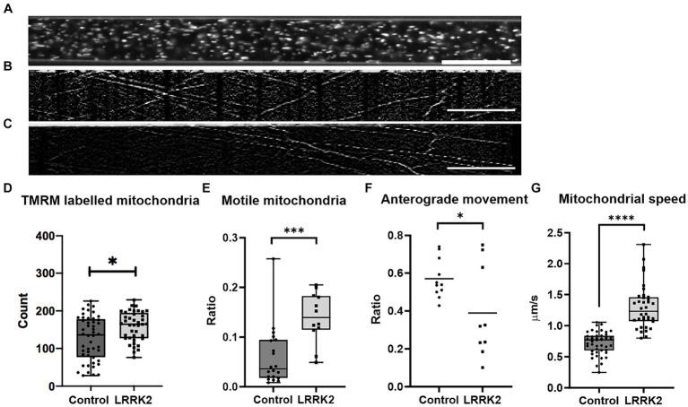 https://cdn.ncbi.nlm.nih.gov/pmc/blobs/15a1/11026646/6a559bb6b72e/fncel-18-1366098-g004.jpg
