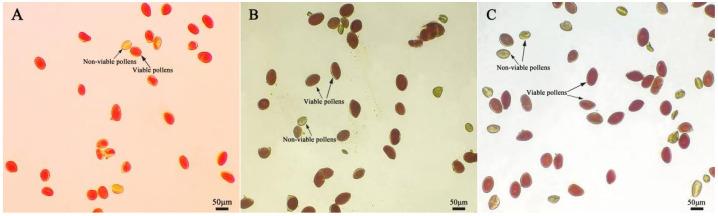 https://cdn.ncbi.nlm.nih.gov/pmc/blobs/15a2/12197142/a109f3e1c9a0/plants-14-01854-g006.jpg
