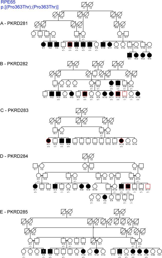 https://cdn.ncbi.nlm.nih.gov/pmc/blobs/15a3/4564165/4e1e49502c72/pone.0136561.g002.jpg