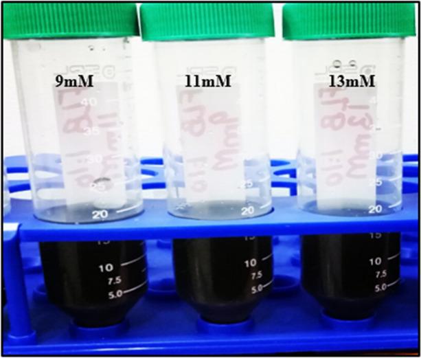https://cdn.ncbi.nlm.nih.gov/pmc/blobs/15a4/8586337/910c1c46e45c/41598_2021_1374_Fig1_HTML.jpg