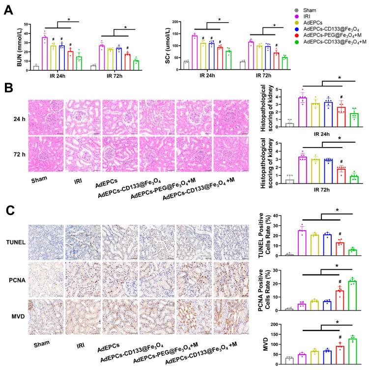 https://cdn.ncbi.nlm.nih.gov/pmc/blobs/15a7/10215196/0760eda36da1/bioengineering-10-00509-g008.jpg