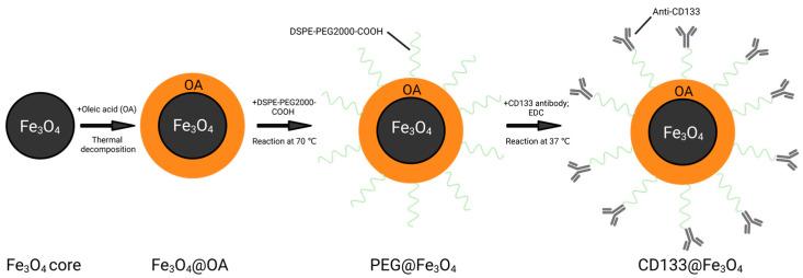 https://cdn.ncbi.nlm.nih.gov/pmc/blobs/15a7/10215196/5b9aac88a3d5/bioengineering-10-00509-g001.jpg