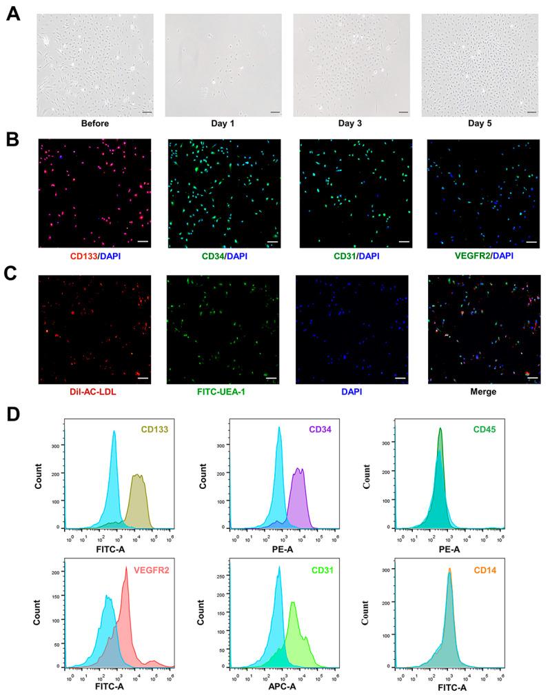 https://cdn.ncbi.nlm.nih.gov/pmc/blobs/15a7/10215196/6e5163f54698/bioengineering-10-00509-g002.jpg