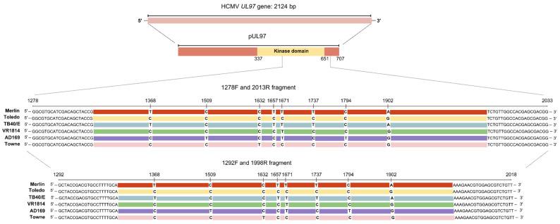 https://cdn.ncbi.nlm.nih.gov/pmc/blobs/15aa/11765014/b6e017e5f90e/diagnostics-15-00214-g001.jpg