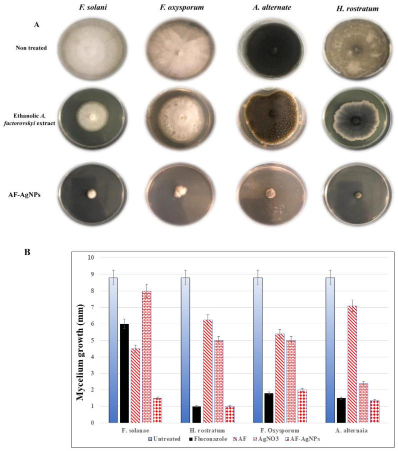 https://cdn.ncbi.nlm.nih.gov/pmc/blobs/15aa/7795506/5442024a19fc/molecules-26-00130-g005.jpg