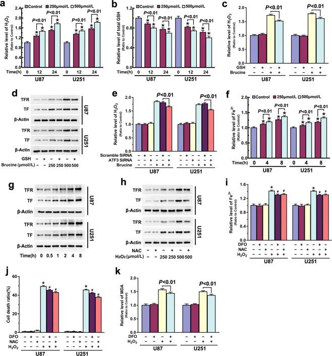https://cdn.ncbi.nlm.nih.gov/pmc/blobs/15aa/8463534/08be8d0b4905/41401_2021_700_Fig4_HTML.jpg