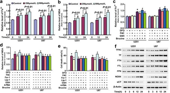 https://cdn.ncbi.nlm.nih.gov/pmc/blobs/15aa/8463534/15709f36775a/41401_2021_700_Fig2_HTML.jpg