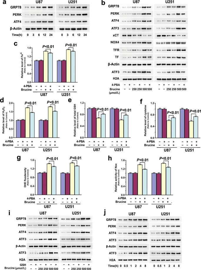 https://cdn.ncbi.nlm.nih.gov/pmc/blobs/15aa/8463534/7cbc74f06f8a/41401_2021_700_Fig6_HTML.jpg
