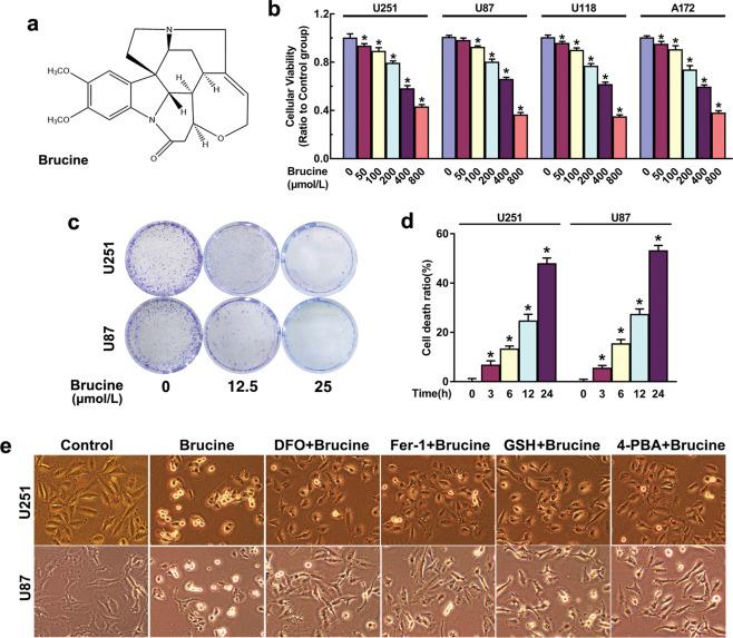 https://cdn.ncbi.nlm.nih.gov/pmc/blobs/15aa/8463534/f3bd4d437a72/41401_2021_700_Fig1_HTML.jpg