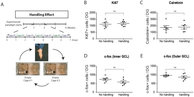 https://cdn.ncbi.nlm.nih.gov/pmc/blobs/15ac/3900491/b0b2cef9f746/pone.0086237.g005.jpg