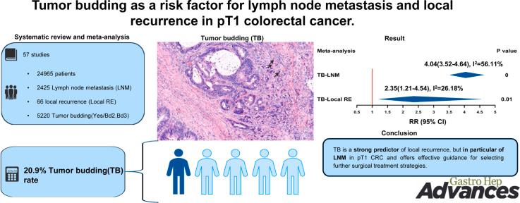 https://cdn.ncbi.nlm.nih.gov/pmc/blobs/15ad/12320163/f4d01d4a4682/ga1.jpg