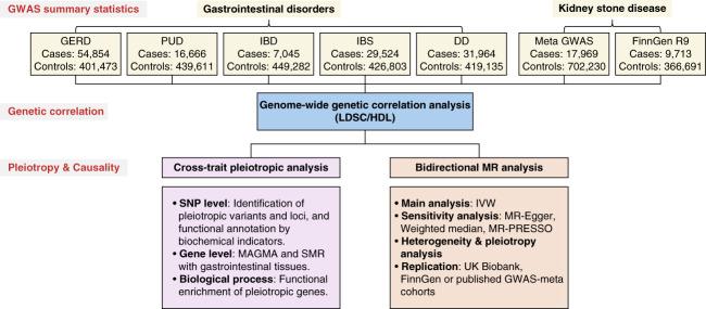 https://cdn.ncbi.nlm.nih.gov/pmc/blobs/15ae/12045493/a2ae2275f3cf/kidney360-6-616-g002.jpg