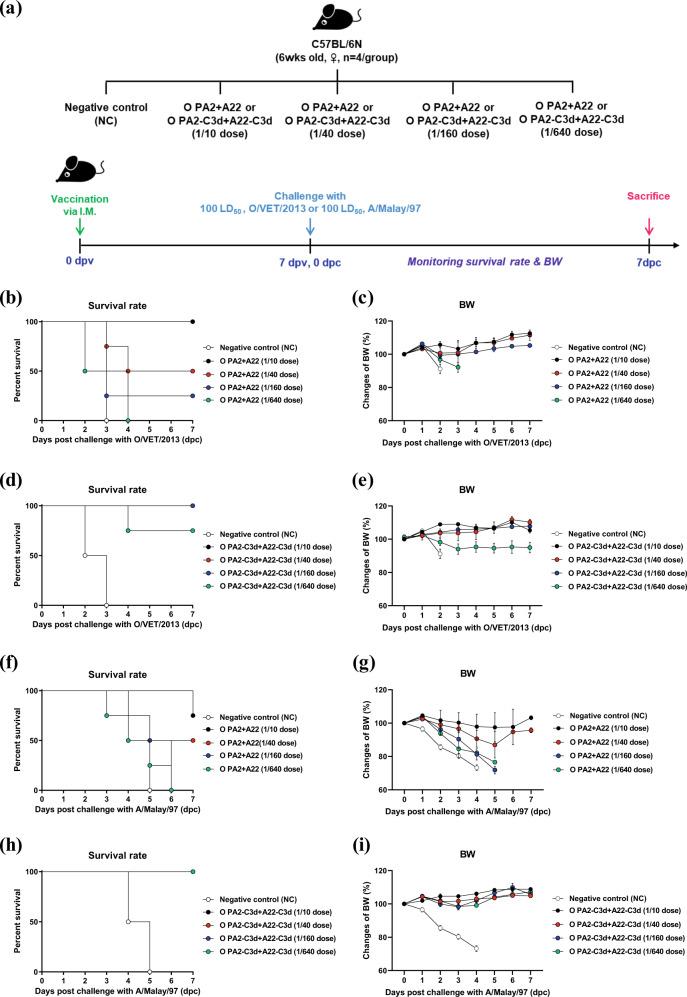 https://cdn.ncbi.nlm.nih.gov/pmc/blobs/15ae/9240001/3de0f40d2c18/41541_2022_496_Fig3_HTML.jpg