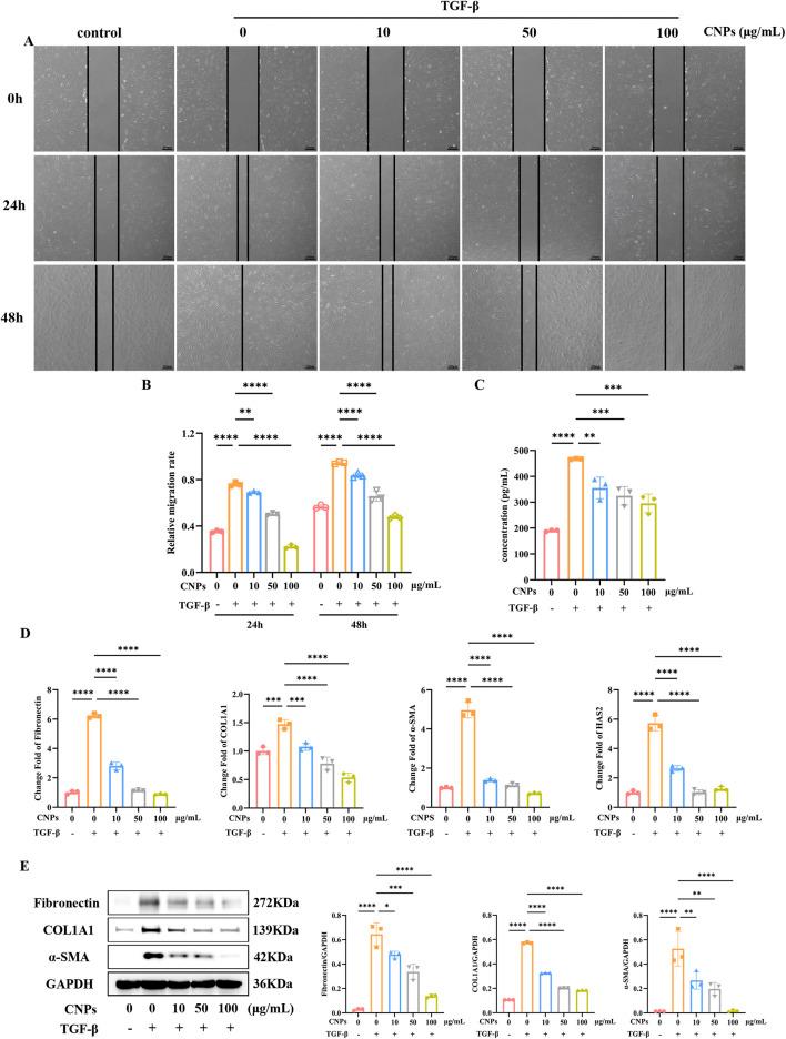 https://cdn.ncbi.nlm.nih.gov/pmc/blobs/15af/12325074/98453b326ba6/fmolb-12-1580062-g002.jpg