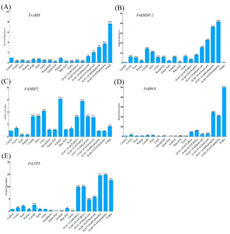 https://cdn.ncbi.nlm.nih.gov/pmc/blobs/15b1/7999015/2966d64dcddb/genes-12-00380-g002.jpg