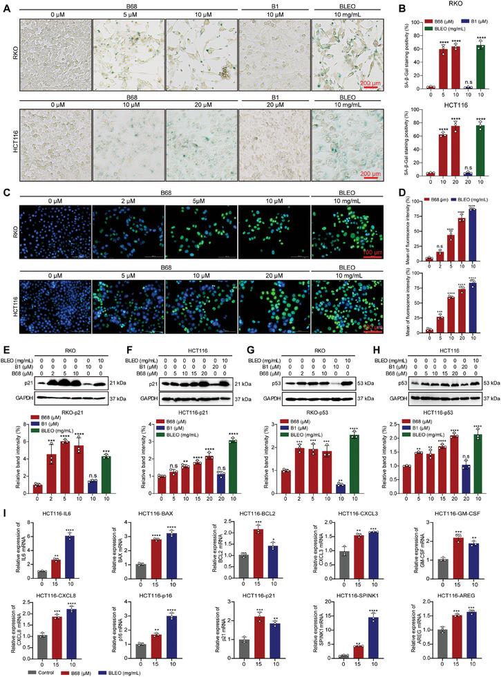https://cdn.ncbi.nlm.nih.gov/pmc/blobs/15b2/11831439/5a224047a335/ADVS-12-2413122-g005.jpg