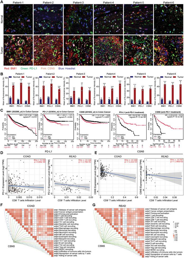 https://cdn.ncbi.nlm.nih.gov/pmc/blobs/15b2/11831439/5cf0e2efe466/ADVS-12-2413122-g004.jpg