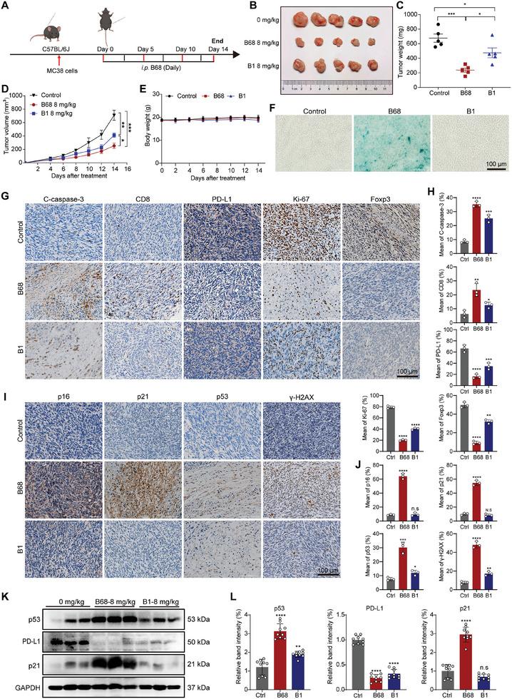 https://cdn.ncbi.nlm.nih.gov/pmc/blobs/15b2/11831439/5eaa08bd50c5/ADVS-12-2413122-g001.jpg