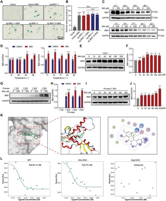 https://cdn.ncbi.nlm.nih.gov/pmc/blobs/15b2/11831439/c4c7df6cd311/ADVS-12-2413122-g008.jpg