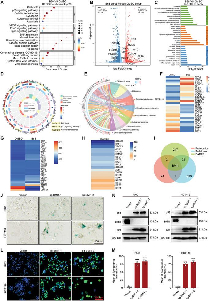 https://cdn.ncbi.nlm.nih.gov/pmc/blobs/15b2/11831439/f1ff9d05d2a2/ADVS-12-2413122-g002.jpg