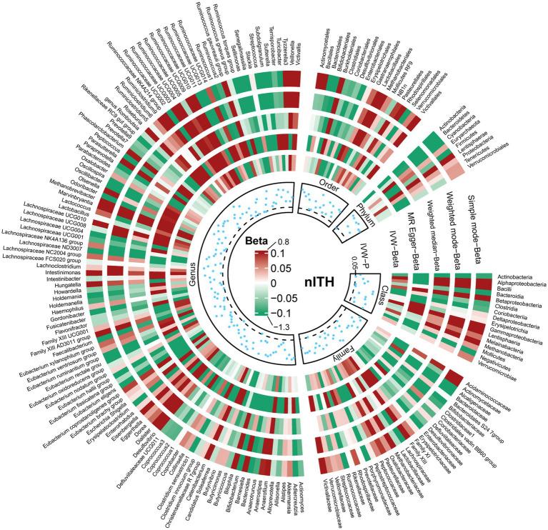 https://cdn.ncbi.nlm.nih.gov/pmc/blobs/15b3/10770845/25b9c4ba5b05/fmicb-14-1290909-g004.jpg
