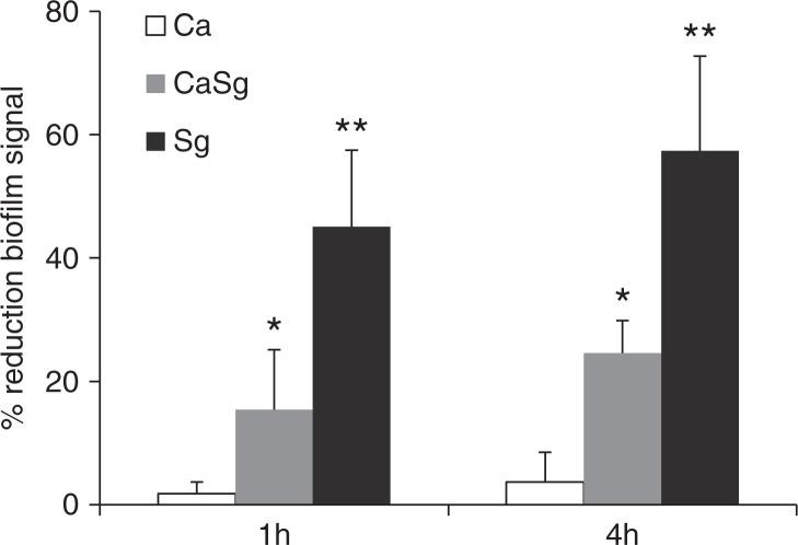https://cdn.ncbi.nlm.nih.gov/pmc/blobs/15b3/3907680/379d82e6d48e/JOM-6-23419-g007.jpg