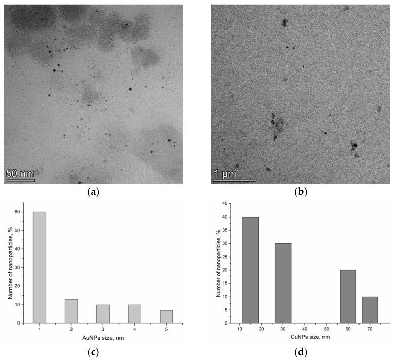 https://cdn.ncbi.nlm.nih.gov/pmc/blobs/15b4/10254482/0226aeabcc78/nanomaterials-13-01754-g001.jpg