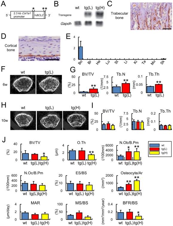 https://cdn.ncbi.nlm.nih.gov/pmc/blobs/15b4/3219663/7c720c0b9c3d/pone.0027487.g001.jpg
