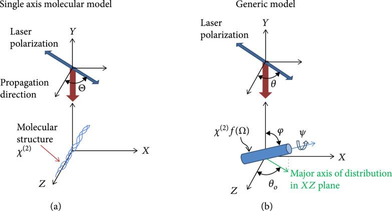 https://cdn.ncbi.nlm.nih.gov/pmc/blobs/15b5/10521653/0e19d66897ec/3973857.fig.004.jpg