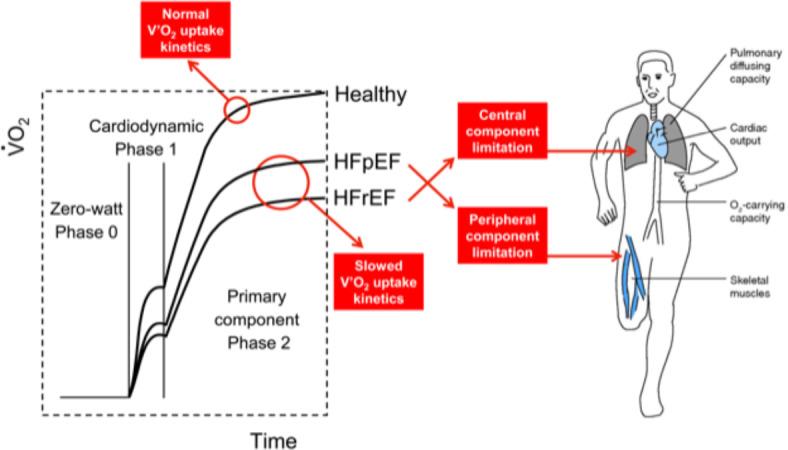 https://cdn.ncbi.nlm.nih.gov/pmc/blobs/15b5/11439022/161f62a53eca/41598_2024_72965_Fig5_HTML.jpg