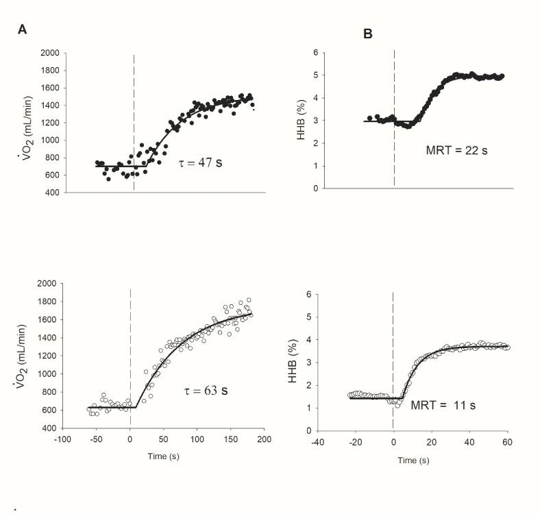 https://cdn.ncbi.nlm.nih.gov/pmc/blobs/15b5/11439022/f97e5db2093c/41598_2024_72965_Fig2_HTML.jpg