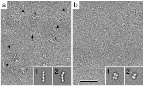 https://cdn.ncbi.nlm.nih.gov/pmc/blobs/15b5/389902/dcd0c2c6f1f5/bpo_v6_p23_m70f2lg.jpg