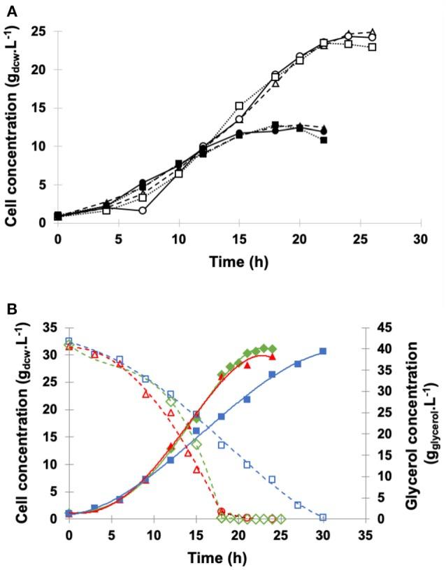 https://cdn.ncbi.nlm.nih.gov/pmc/blobs/15b5/6375902/700c36d76826/fbioe-07-00016-g0002.jpg