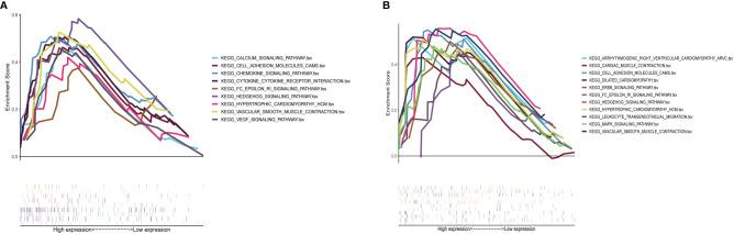 https://cdn.ncbi.nlm.nih.gov/pmc/blobs/15b5/9673246/2c1f7ba5d872/fimmu-13-1035285-g010.jpg