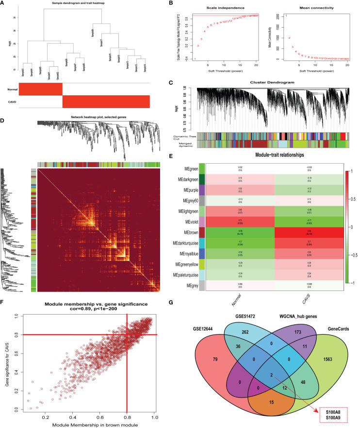 https://cdn.ncbi.nlm.nih.gov/pmc/blobs/15b5/9673246/7cda2683b758/fimmu-13-1035285-g004.jpg
