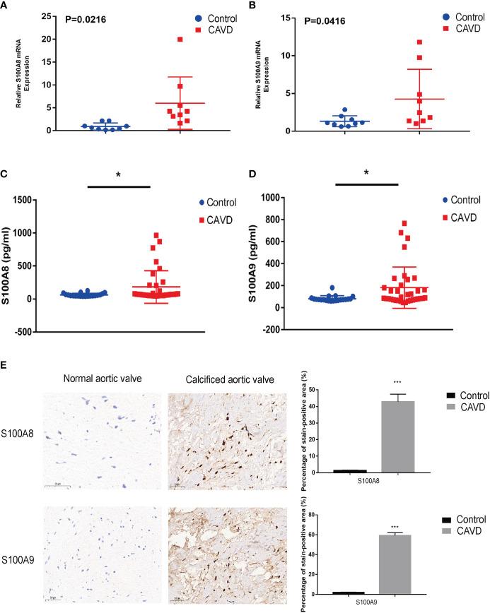 https://cdn.ncbi.nlm.nih.gov/pmc/blobs/15b5/9673246/88cf327f181b/fimmu-13-1035285-g012.jpg