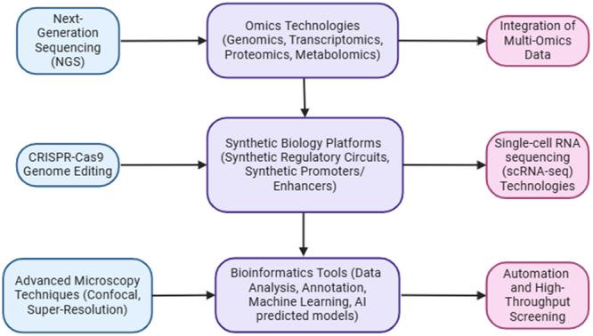 https://cdn.ncbi.nlm.nih.gov/pmc/blobs/15b6/12284604/2902ab4553cc/MBO3-14-e70034-g006.jpg