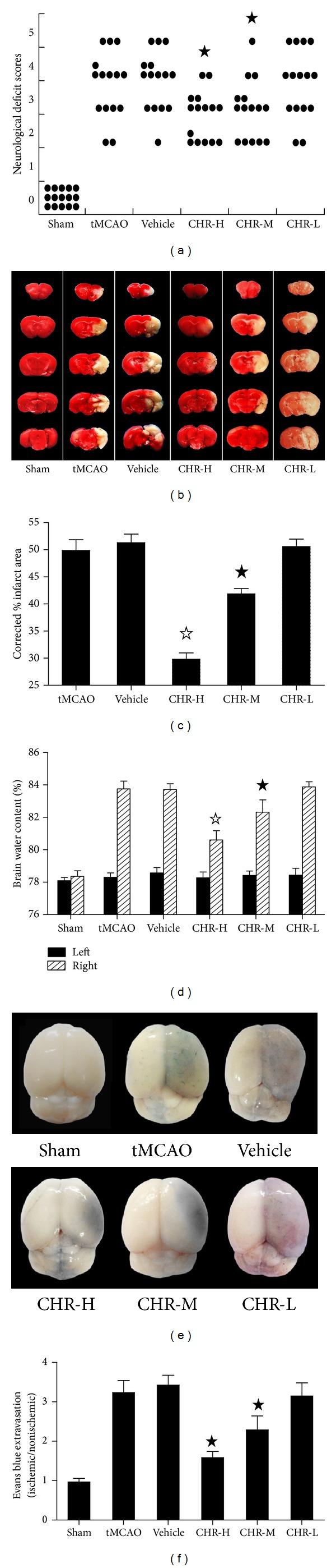 https://cdn.ncbi.nlm.nih.gov/pmc/blobs/15b6/4020303/2d6b9971d8e8/MI2014-370530.005.jpg