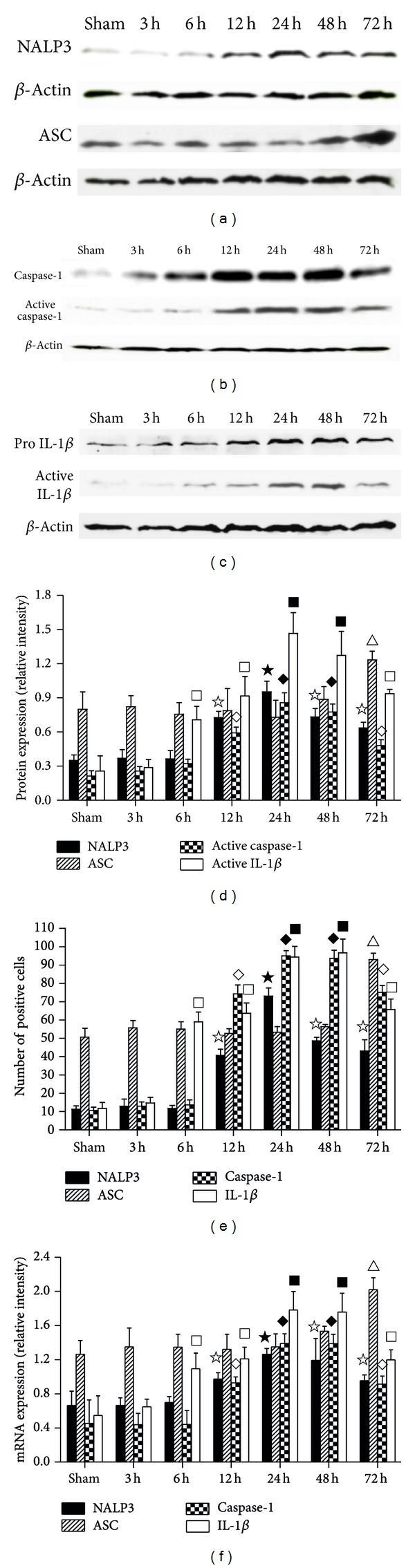 https://cdn.ncbi.nlm.nih.gov/pmc/blobs/15b6/4020303/ed5ce5bb5f54/MI2014-370530.004.jpg