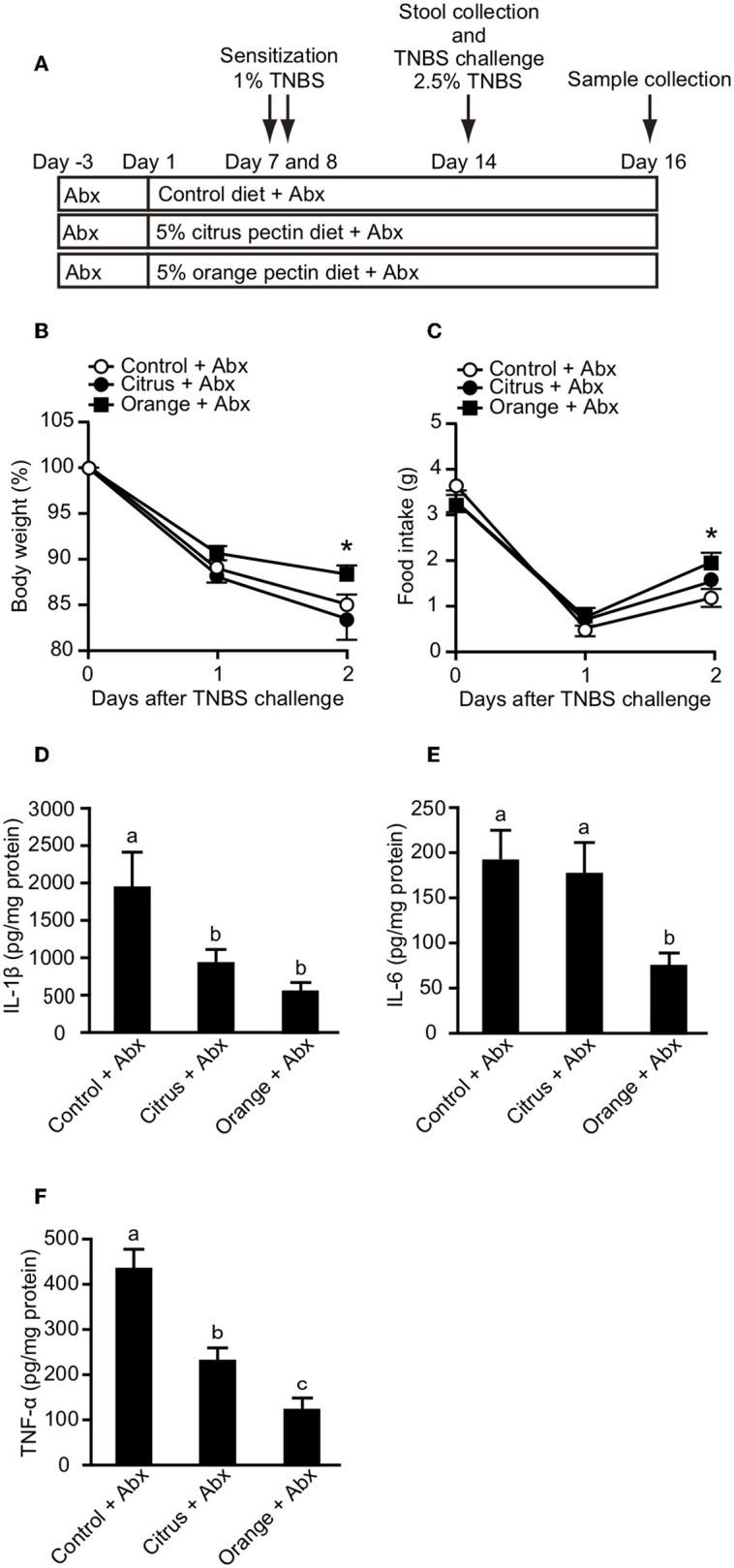 https://cdn.ncbi.nlm.nih.gov/pmc/blobs/15b6/6930924/1b7e1ad2edfa/fimmu-10-02979-g0005.jpg